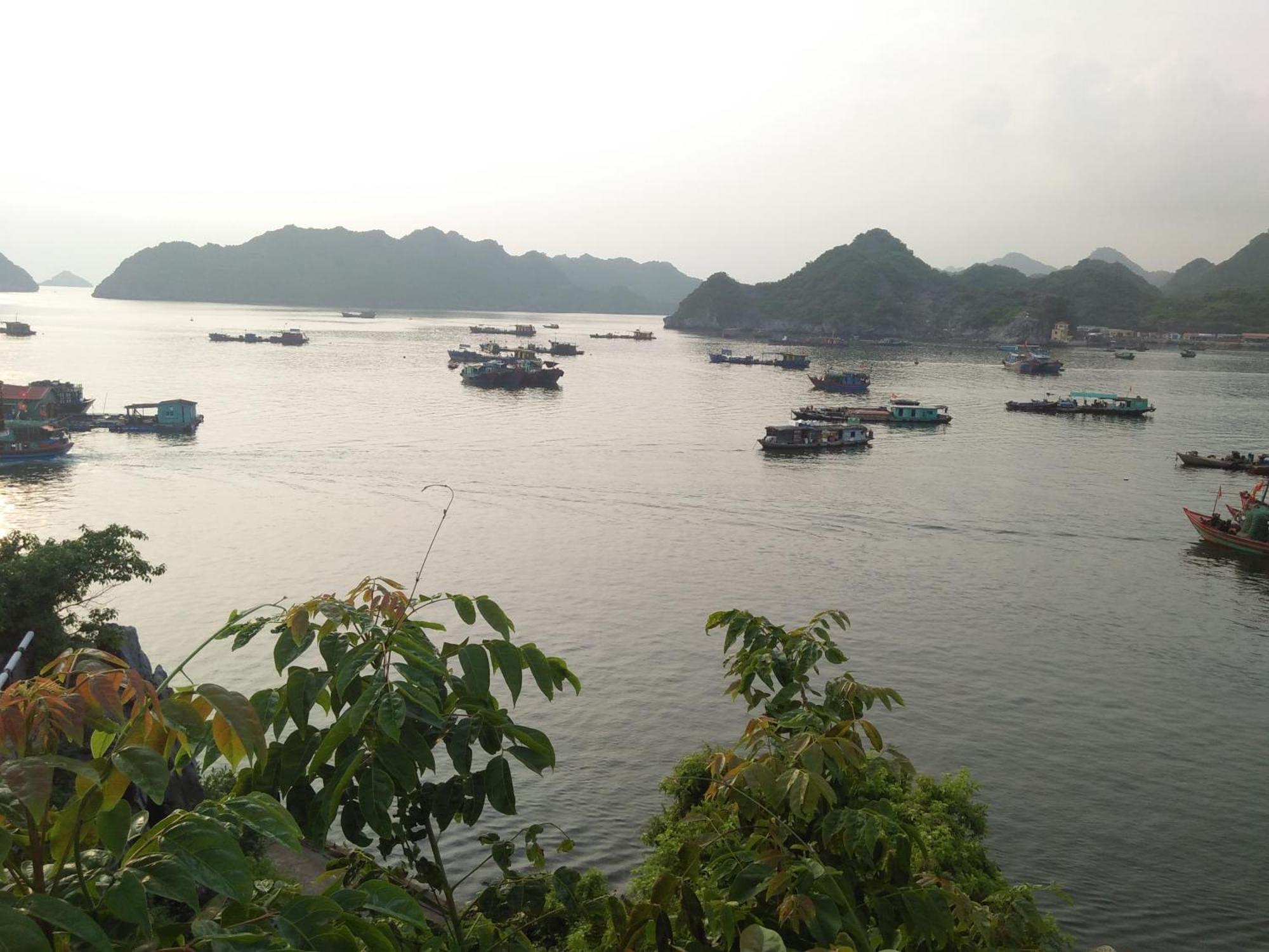 Cat Ba Victory Hostel Dong Khe Sau Экстерьер фото