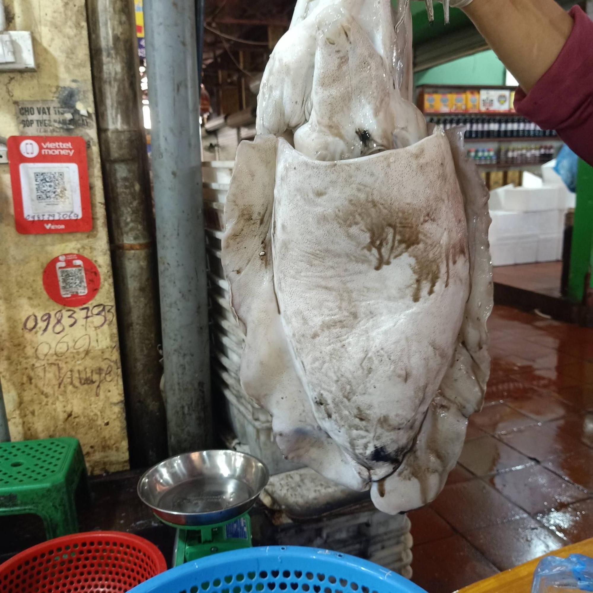 Cat Ba Victory Hostel Dong Khe Sau Экстерьер фото
